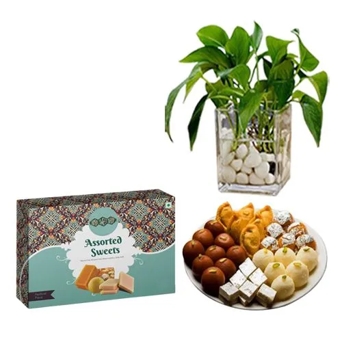 Buy LINE 'N' CURVES Premium Sweets Gift Hamper Boxes, Empty Sweets  Container, Wedding Return Gift Boxes, 1 Kg Size, 4 Partitions Tray, Color -  Blue (Pack of 25) Online at Low Prices