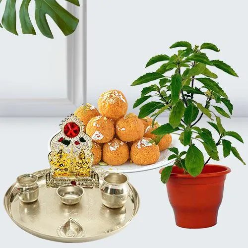 classic holy basil plant pot with festive greetings Delivery in