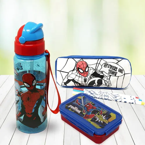 Buy alluring spiderman canteen set of water bottle n tiffin in Mumbai, Free  Shipping - MumbaiOnlineFlorists